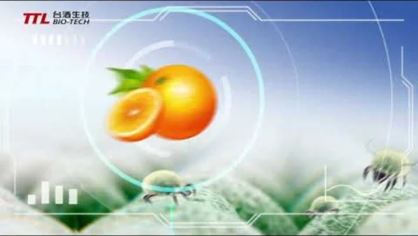 【易洗樂】抗菌防蟎洗衣精 國家級安心 _30sec